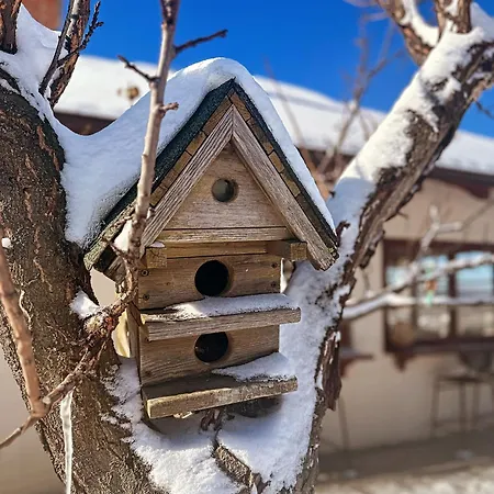 - Kuca Za Odmor Bukovik