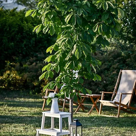 - Kuca Za Odmor Bukovik